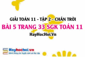 Bài 5 trang 33 Toán 11 tập 2 Chân trời sáng tạo